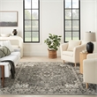 Nourison Concerto 5' x 7' Gray Fabric Vintage Area Rug (5' x 7')