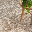 Nourison Concerto 5' x 7' Beige Fabric Vintage Area Rug (5' x 7')