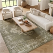 Nourison Grafix 8' x 10' Olive Fabric Vintage Area Rug (8' x 10')