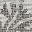 Nourison Home Garden Oasis 6' x 9' Fabric Grey Area Rug