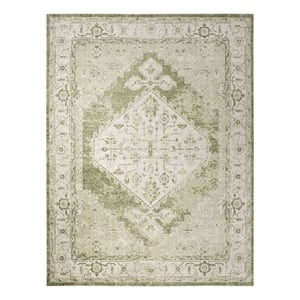 Nourison Home Astra Machine Washable 7' x 9' Fabric Ivory Green Area Rug