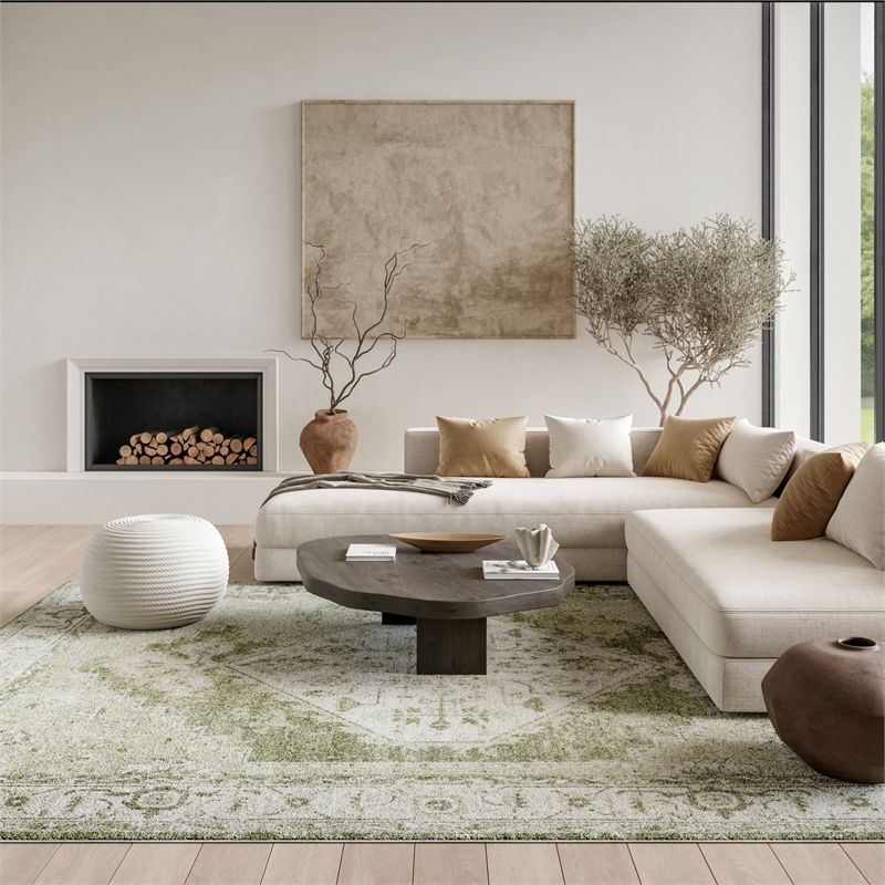 Nourison Home Astra Machine Washable 9' x 12' Fabric Ivory Green Area Rug