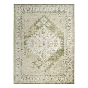 Nourison Home Astra Machine Washable 9' x 12' Fabric Ivory Green Area Rug