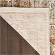 Nourison Petra 9' x 13' Ivory Multi-Color Area Rug