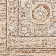 Nourison Astra Machine Washable Center medallion Beige Fabric Area Rug (3' x 5')