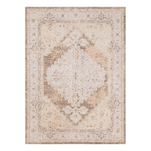 Nourison Astra Machine Washable Center medallion Beige Fabric Area Rug (4' x 6')