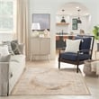 Nourison Astra Machine Washable Center medallion Beige Fabric Area Rug (4' x 6')