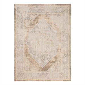 Nourison Astra Machine Washable Center medallion Beige Fabric Area Rug (4' x 6')