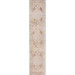 Nourison Astra Machine Washable Center medallion Beige  Area Rug (10' Runner)