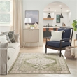 Nourison Astra Machine Washable 4' x 6' Polyester Indoor Rug in Ivory Green