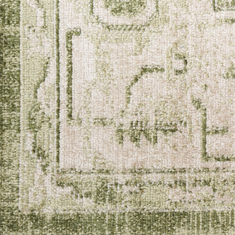 Nourison Astra Machine Washable 4' x 6' Polyester Indoor Rug in Ivory Green