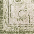 Nourison Astra Machine Washable 4' x 6' Polyester Indoor Rug in Ivory Green