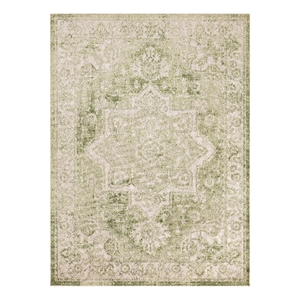 Nourison Astra Machine Washable Center medallion Ivory Green  Area Rug (4' x 6')