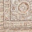 Nourison Astra Machine Washable Center medallion Beige  Area Rug (8' Round)