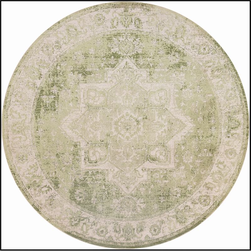 Nourison Astra Machine Washable Center medallion Blue Green  Area Rug (8' Round)