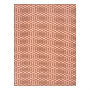 Nourison Reversible Ind/Outd 9' x 12' Coral Area Rug