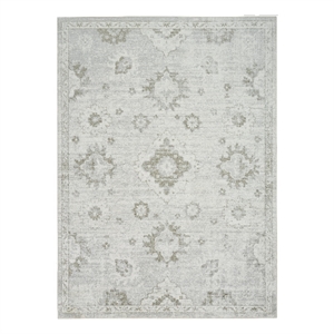 Nourison Astra Machine Washable 4' x 6' Ivory  Fabric Area Rug