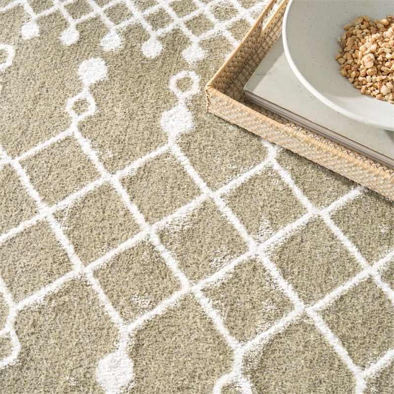 Nourison Astra Machine Washable 4' x 6' Sage Fabric Area Rug