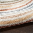 Nourison Astra Machine Washable 12' x 15' Ivory Multi-Color Fabric Area Rug