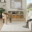Nourison Modern Shag 4' x 6' Gray Ivory Fabric Area Rug