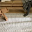 Nourison Nordic 4' x 6' Beige Fabric Area Rug