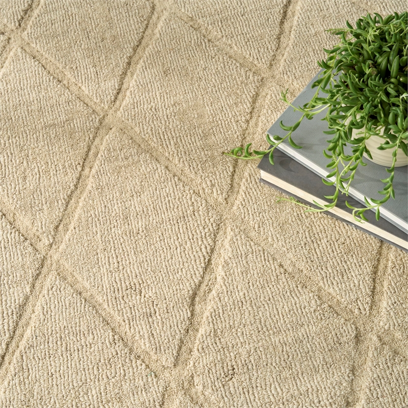 Nourison Home Wool Haven 8' x 10' Beige   Area Rug