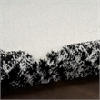 Nourison Home Pacific Shag 5' x 7' Polyester Ivory Black Area Rug