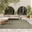Nourison Home Tulum 6' x 9' Fabric Olive Area Rug