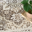 Nourison Home Dekor 4' x 6' Polyester Brown Ivory Area Rug