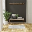 Nourison Home Dekor 2' x 4' Polyester Grey Area Rug