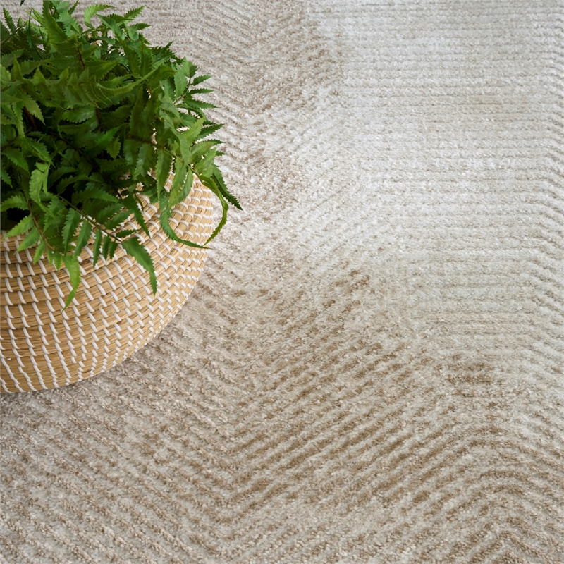 Nourison Home Dekor 4' x 6' Polyester Ivory Taupe Area Rug