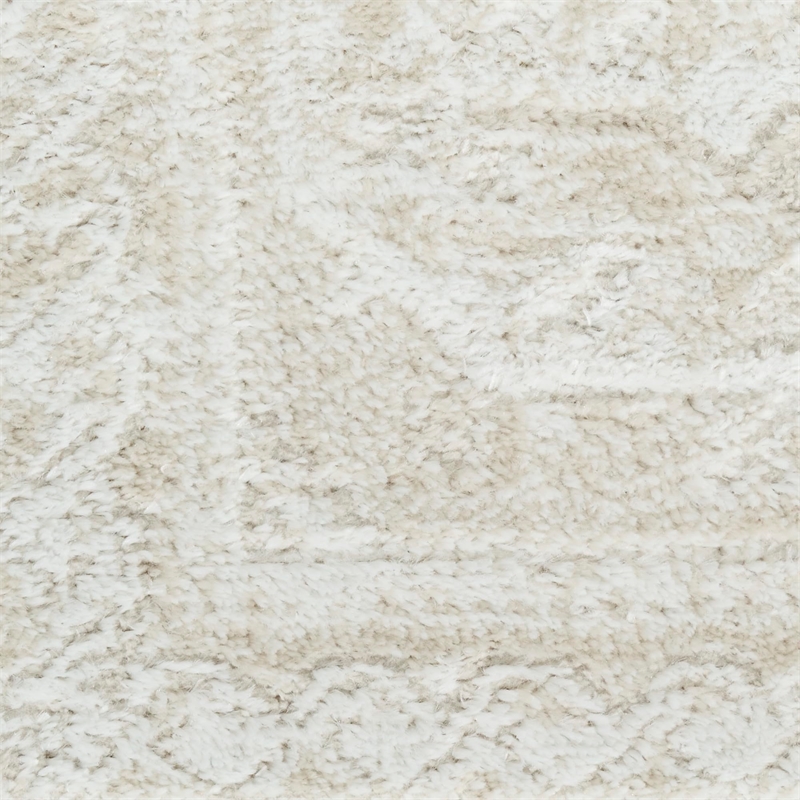 Nourison Home Dekor 4' x 6' Polyester Ivory Beige Area Rug