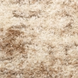 Nourison Home Luxurious Shag 8' x 10' Polyester Ivory Dark Beige Area Rug