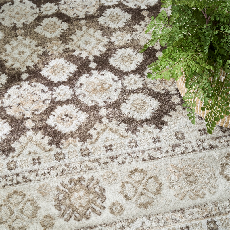 Nourison Home Dekor 5' x 7' Polyester Ivory Brown Area Rug