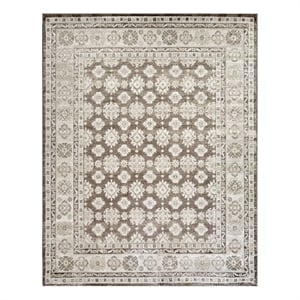 Nourison Home Dekor 8' x 10' Polyester Ivory Brown Area Rug