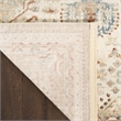 Nourison Pardis 4' x 6' Ivory Rust Vintage Indoor Rug