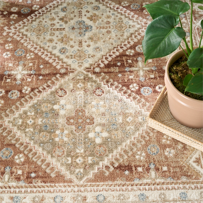 Nourison Pardis 4' x 6' Rust Vintage Indoor Rug