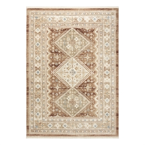 Nourison Pardis 4' x 6' Rust Vintage Indoor Rug