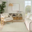 Nourison Textured Home 3'11
