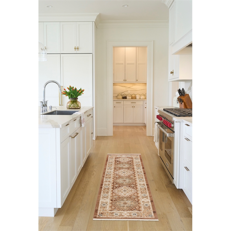 Nourison Pardis 2' x 6' Rust Vintage Indoor Rug