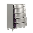 New Classic Furniture Reflections Wood 5-Drawer Chest in Silver