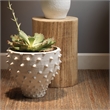 J&D Designs Co Agave Cylinder Traditional Paulownia Wood Side Table in Natural