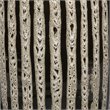 J&D Designs Co Transitional Ceramic Barnaby Vase in Beige/Black