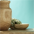 J&D Designs Co Laurel Small Transitional Wood Bowl in Natural Finish