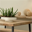 J&D Designs Co Geometric Patterns Coastal Ceramic Coco Pedestal Bowl in White