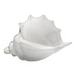 J&D Designs Co Coastal Style Glass Triton Shell in White Finish