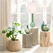 J&D Designs Co Studio Contemporary Glass Table Lamp in Petal Pink