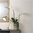 J&D Designs Wallace Traditional Metal Table Lamp with Adjustable Hood in Brass
