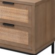 J&D Designs Reed 2-Drawer Coastal Wood & Iron Side Table in Brown