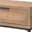 J&D Designs Reed 2-Drawer Coastal Wood & Iron Console Table in Brown/Black